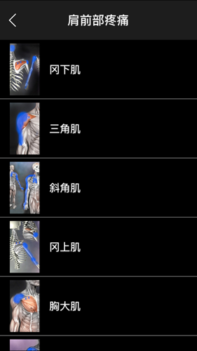肌肉激痛点安卓中文版(5)