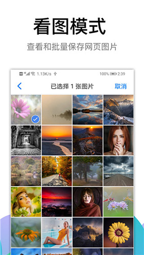 黑狮浏览器最新版图3
