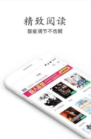 辣条小说通用版图1