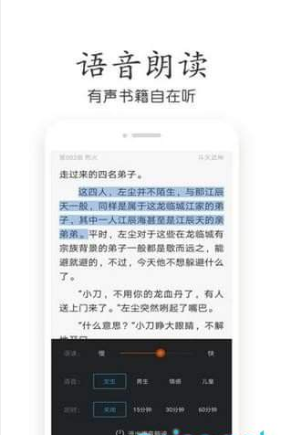 辣条小说通用版图4