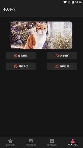 喵喵之家官方正版图3