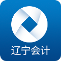 辽宁会计原版 V1.2.6