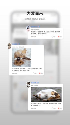 小它宠物通用版图1