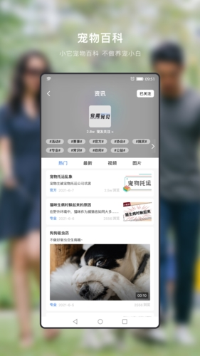 小它宠物通用版图2