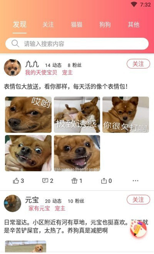铲屎官联盟app(4)
