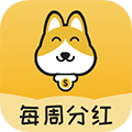 悬赏汪