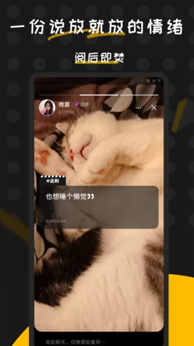 碰肩安卓免费版图5
