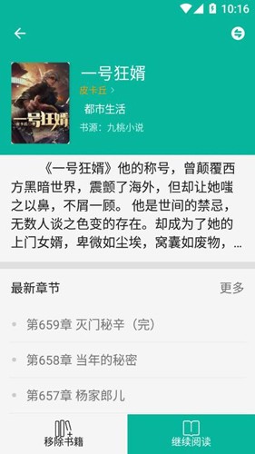 极光小说手机版图3