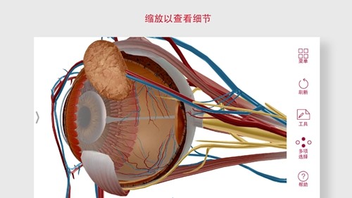 解剖和生理学官方版图3