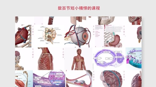 解剖和生理学官方版图2