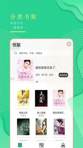 书亭小说经典版