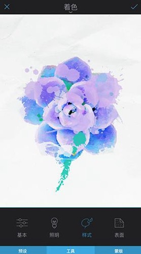 enlight photoloop图3