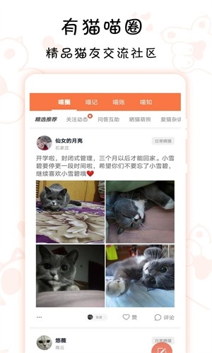 领喵免费原版图3