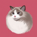 壁纸库官方最新版 v1.0.1