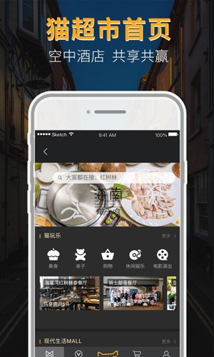 MVM猫喂猫手机版图1