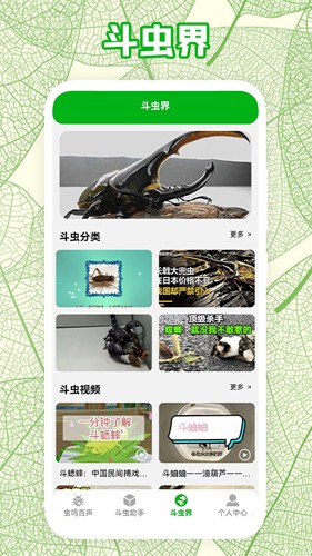 疯狂蛐蛐儿最新版图1