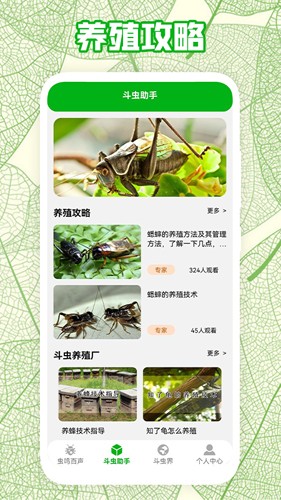 疯狂蛐蛐儿最新版图2