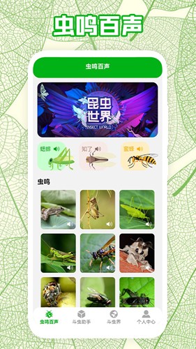 疯狂蛐蛐儿最新版图3
