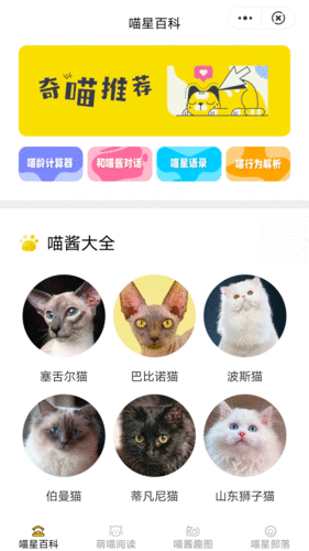 喵星百科手机正版图2