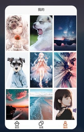 哈喽壁纸免费原版图4