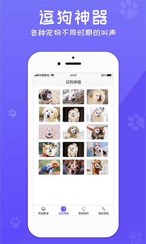 狗语翻译机app中文版