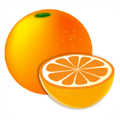 柑橘阅读手机版 V1.1.5