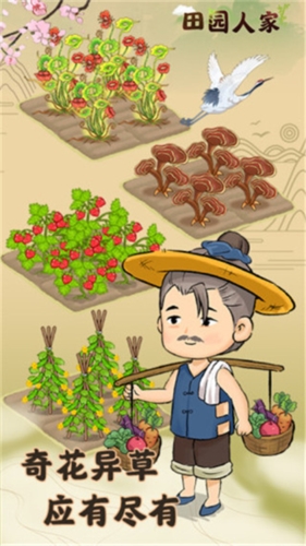 田园人家游戏正版图2