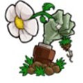 植物大战僵尸启命版