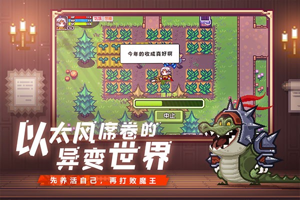 伊洛纳国际服官方版图4