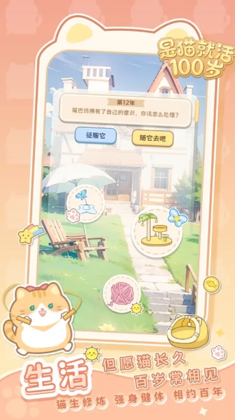 是猫就活100岁(2)