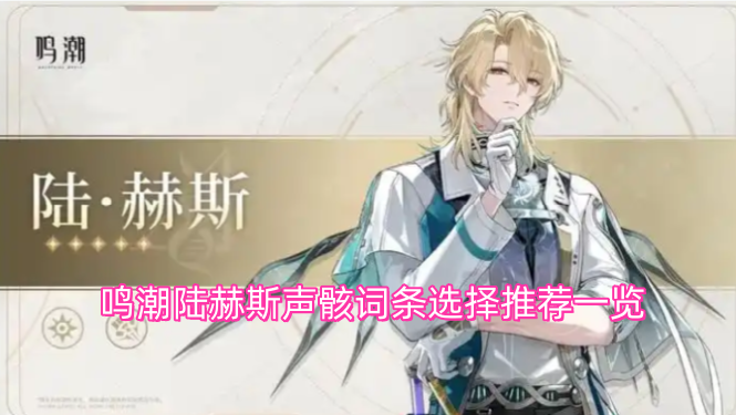 鸣潮陆赫斯声骸词条搭配建议汇总
