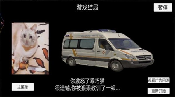 猫猫惊魂夜(3)