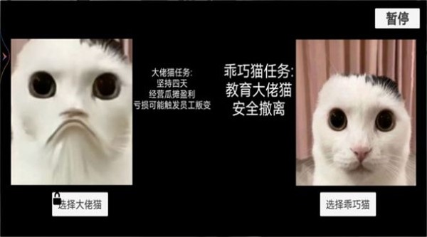 猫猫惊魂夜(1)