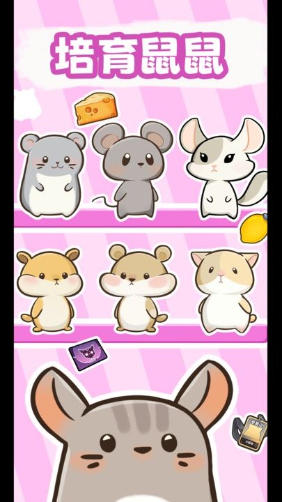 社会我猫哥(1)