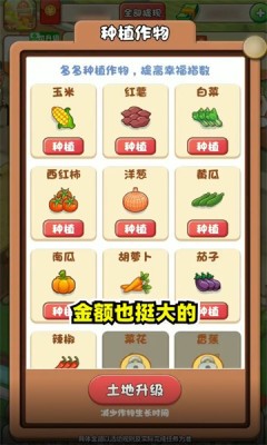 幸福集市直装游戏版图1