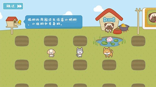宠物托管所(4)