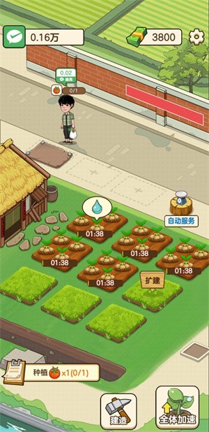 开心农场主(3)