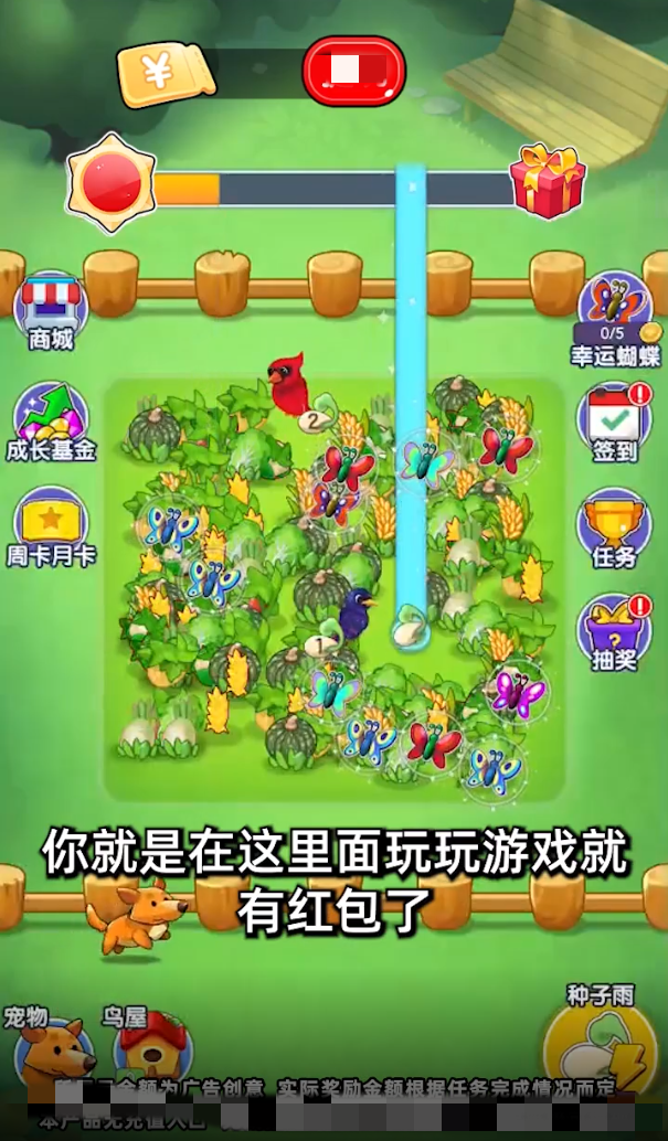 果果多点