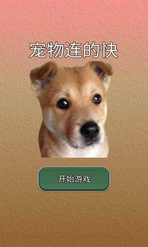 宠物连的快(4)