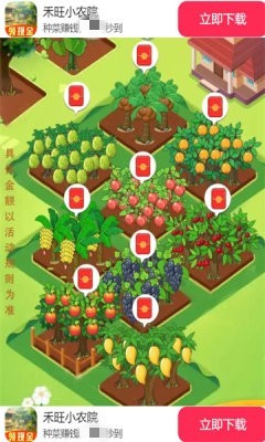 禾旺小农院(3)