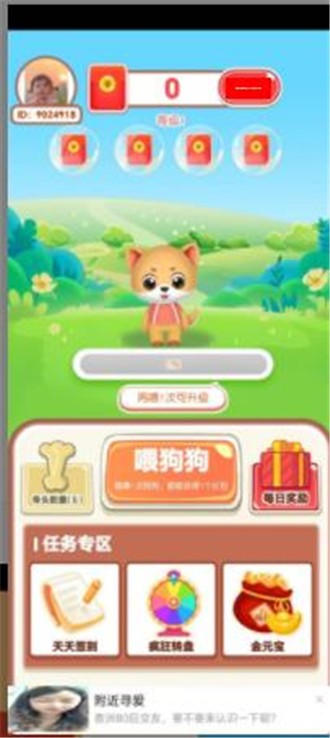养狗发大财