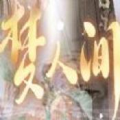 梦人间手机版