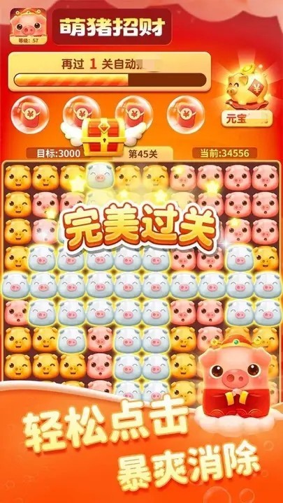 萌猪招财(2)