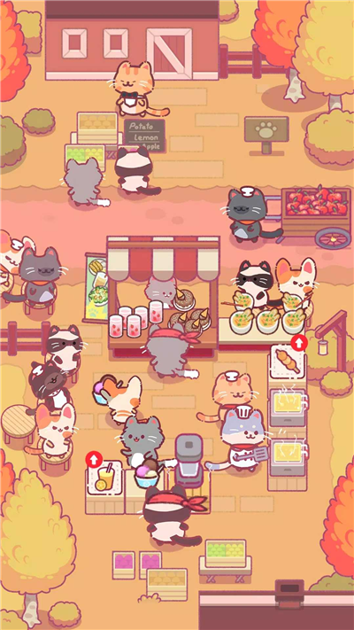猫咪餐厅(3)