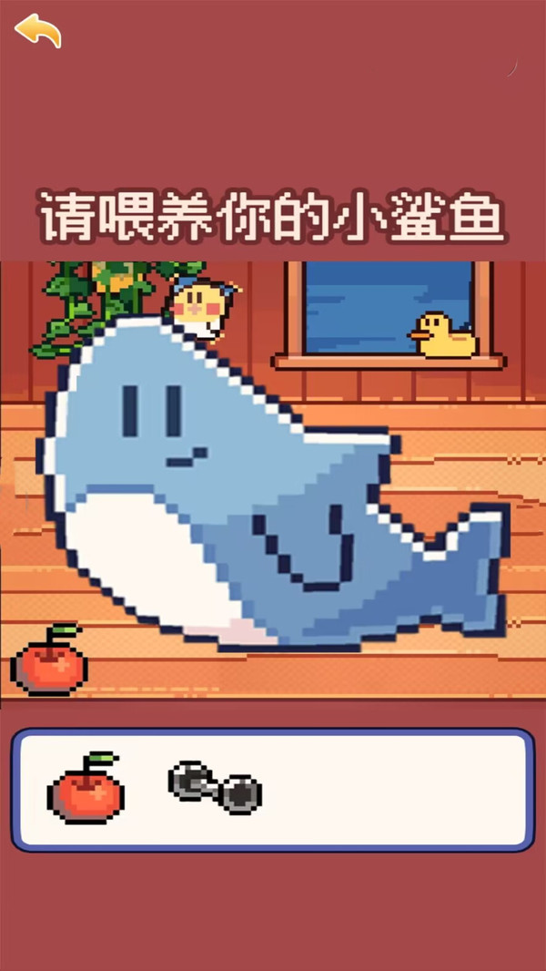 快乐的鲨鱼(2)