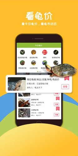 龟友天下app(2)