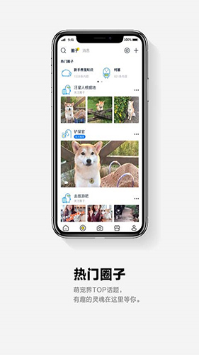 它福免费版(1)