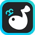 音派陪玩无广告版 V2.1.4