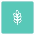 超能搜索器通用版 V1.0