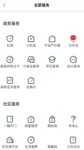 桐行通app(4)